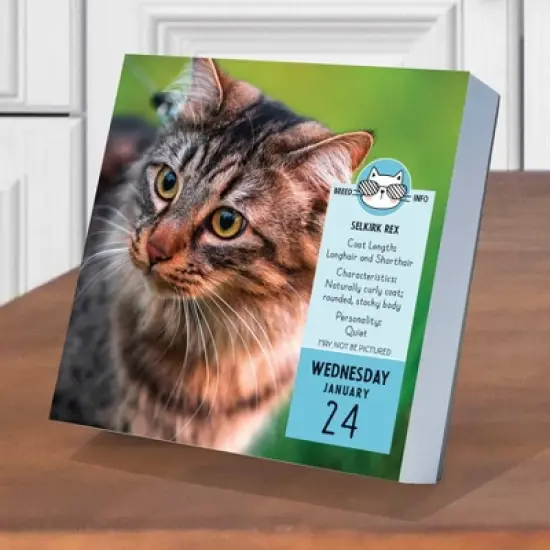 TF Publishing 2024 Daily Desktop Calendar 5.25"x5.25" Cat A Day image {2}