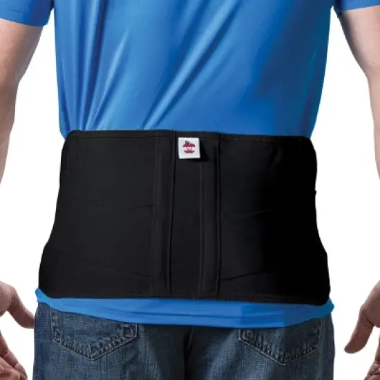 Core Products Corfit LS Back Support image {3}