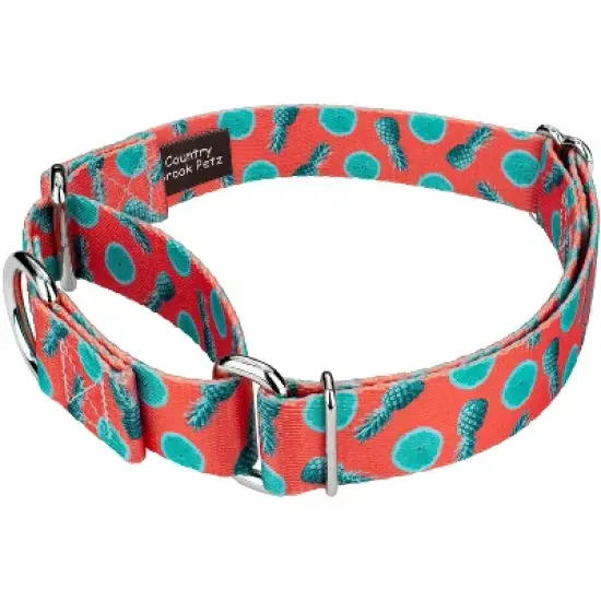 Country Brook Petz Tropical Tango Martingale Dog Collar image {1}