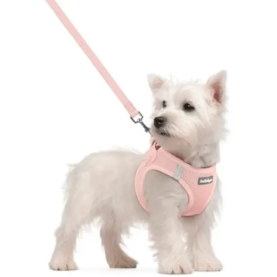 rabbitgoo Dog Harness Small Sized image {4}