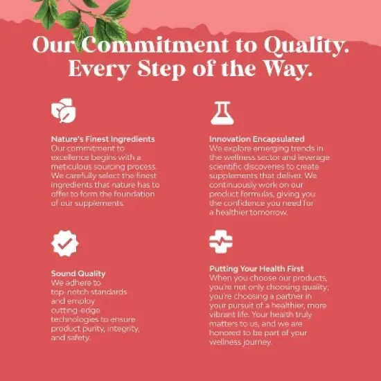 B12 Gummies, Sugar Free Vitamin B12 for Adults Energy, Focus, Immunity, & Nerve Support, Strawberry Flavor, Nature's Craft, 60ct image {4}