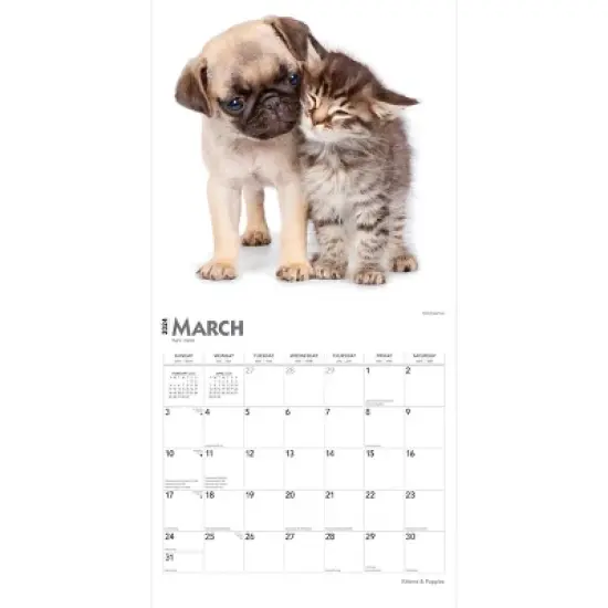 Browntrout 2024 Wall Calendar 12"x12" Kittens & Puppies image {2}