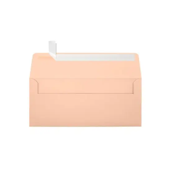 JAM Paper Self Seal Business Envelope 4 1/8 x 9 1/2 Blush Pink 250 Pack (4860-114-250) image {2}