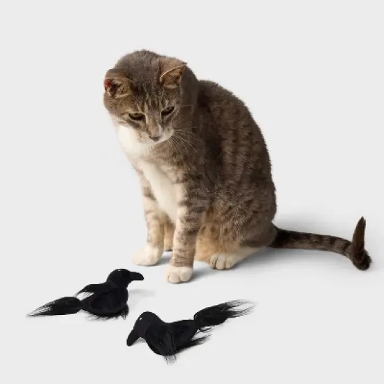 Ravens Cat Plush Toy Set - 2pk - Boots & Barkley&trade; image {1}