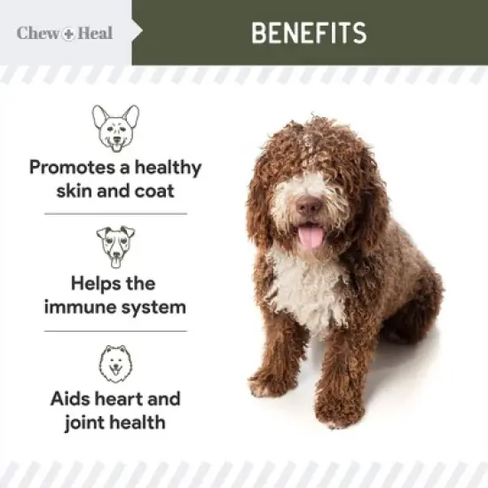Chew + Heal Pure Cod Liver Oil Omega Skin & Coat Liquid Supplement for Dogs, 16-oz bottle image {6}