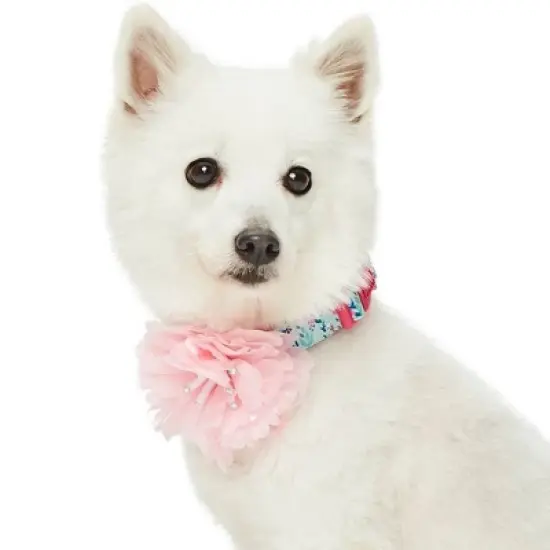 Blueberry Pet Floral Power Designer Dog Collar with Detachable Pink Peony image {3}