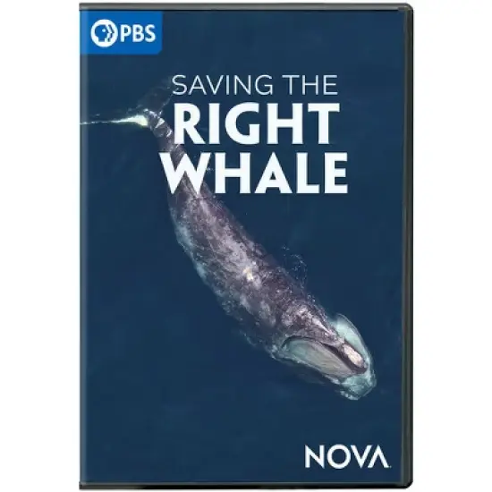 NOVA: Saving The Right Whale (DVD) image {1}