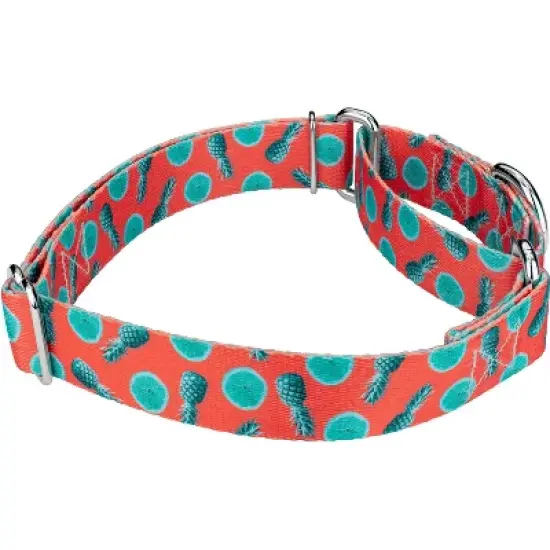 Country Brook Petz Tropical Tango Martingale Dog Collar (1/2 Inch, Extra Small) image {2}