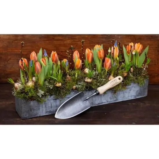 Tierra Garden Trowel image {4}