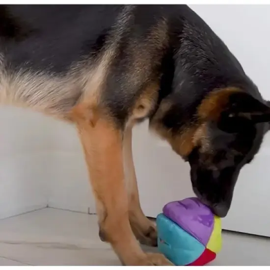 fouFIT Hide 'n Seek Ball Interactive Dog Toy image {3}