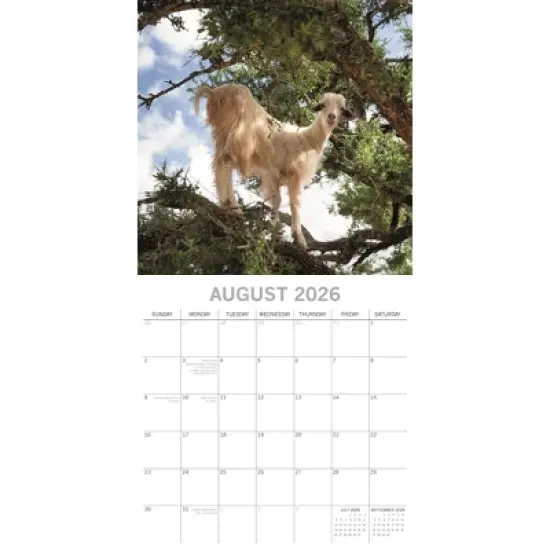 2026 Square Wall Calendar, Goats in Trees, 16-Month Animals Theme with 180 Reminder Stickers (12x12 In) image {2}
