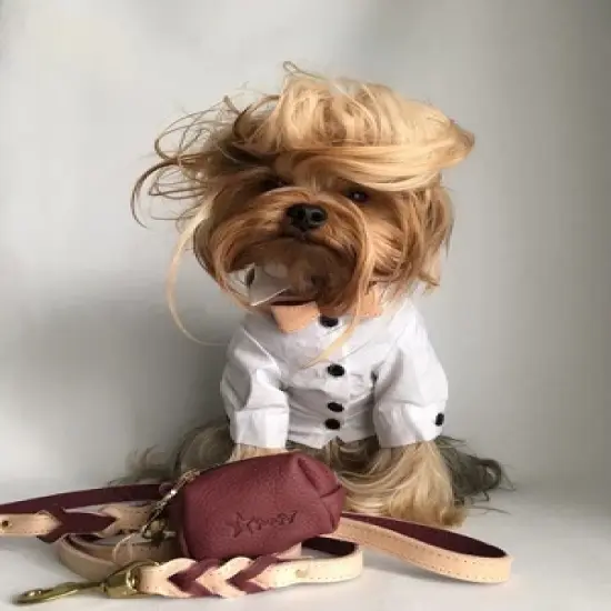 PoisePup &ndash; Luxury Pet Dog Waste Bag Holder &ndash; Soft Premium Italian Leather Poop Bag Dispenser -  Luscious Bow image {2}