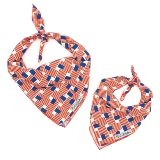 The Worthy Dog Patchwork Flag Bandana Accessory image {1}