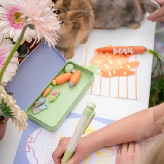 Daydream Society - Bunnies In The Garden Pencil Case - Pack of 1 Metal Case image {2}