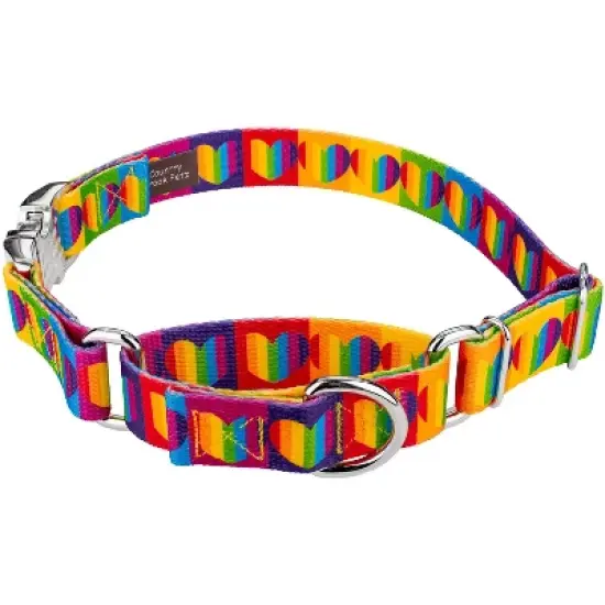 Country Brook Petz Rainbow Hearts Martingale Dog Collar with Premium Buckle (1 Inch, Large) image {5}