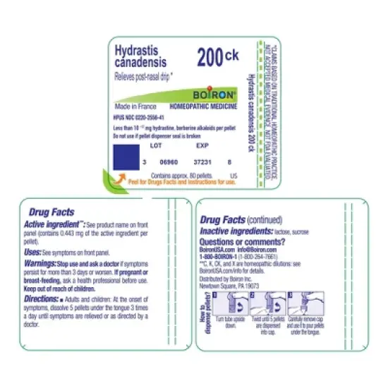 Hydrastis Canadensis 200CK by Boiron Homeopathic Single Medicine For Cough, Cold & Flu  -  80 Pellet image {1}