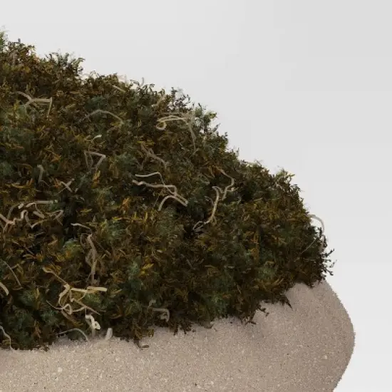 Faux Moss Bowl - Threshold&trade; image {2}