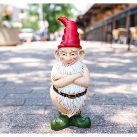 13.7" Resin Naked Ned Garden Gnome - Exhart image {13}