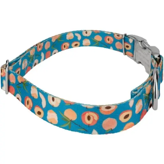 Country Brook Petz Premium Dog Collar - Tasty Collection image {4}