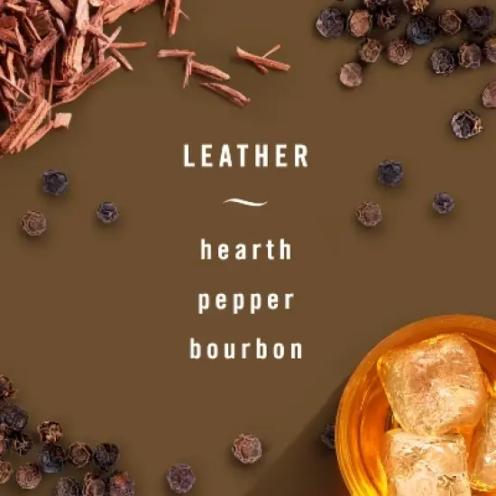 2ct Febreze Auto Leather image {4}