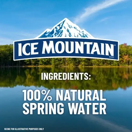 Ice Mountain 100% Natural Spring Water - 32pk/16.9 fl oz Bottles image {10}