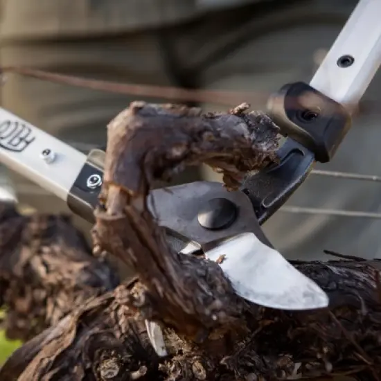 FELCO 201-60, 24in. Precision Lopper for Vineyard/Shrubs, I-Beam Handle, Ultra Light image {2}