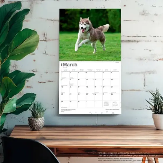 BrownTrout For the Love of Siberian Huskies 2026 14"x24" Hanging Deluxe Wall Calendar Plastic-Free image {4}