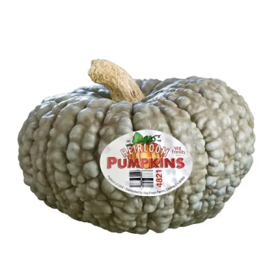 Heirloom Pumpkin - each image {3}