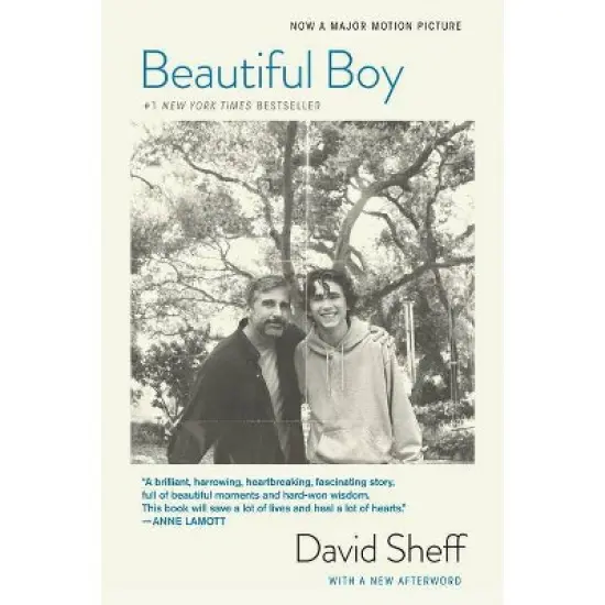 Beautiful Boy : A Father's Journey Through His Son's Addiction -  by David Sheff (Paperback) image {1}