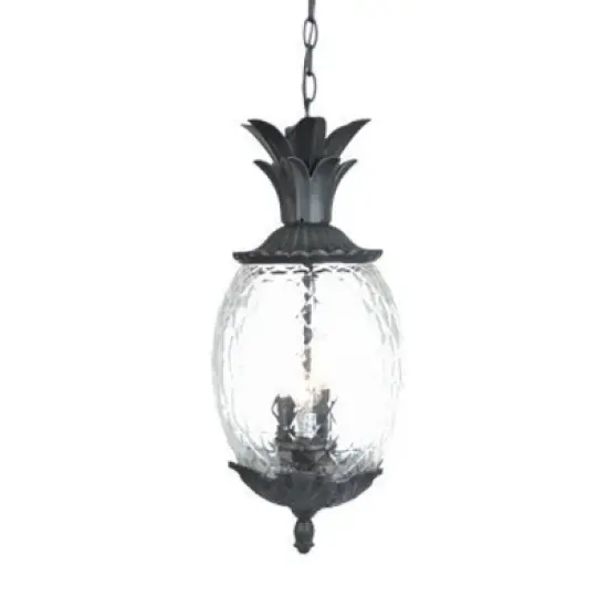 Acclaim Lighting Lanai 3 - Light Pendant in  Matte Black image {4}