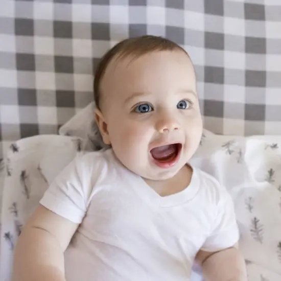 Burt's Bees Baby&reg; Woven Organic Cotton Muslin Blankets - Wandering Elephants Gray - 3pk image {2}