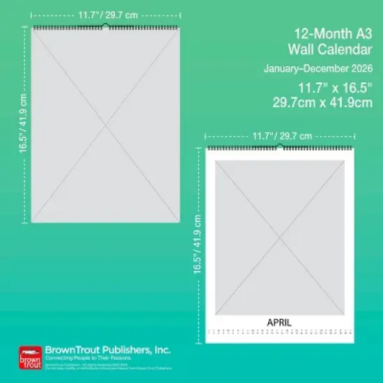 BrownTrout Taylor Swift 2026 11.7x16.5 Inch Hanging A3 Poster Wall Calendar image {6}