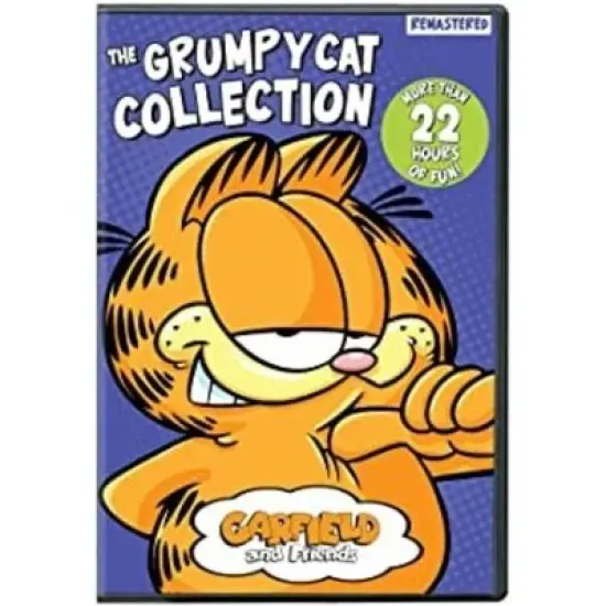 Garfield And Friends: The Grumpy Cat Collection (DVD) image {1}