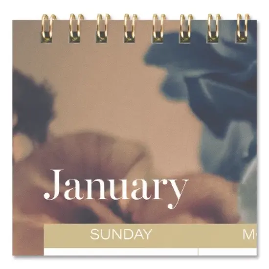 Mead Products Midnight Garden Monthly Wall Calendar 12-Month January 2026 to December 2026 Floral Artwork 15 x 12 image {2}