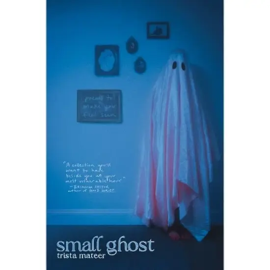 Small Ghost - by  Trista Mateer (Paperback) image {1}