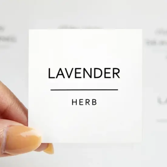 Talented Kitchen 184 Spice Labels Stickers, Preprinted White Spice Jar Labels for Herbs Seasonings, Spice Rack Pantry Organization, Water Resistant image {5}