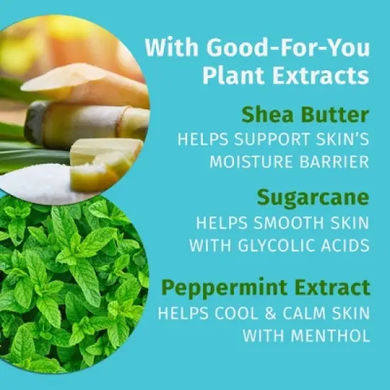 Hempz Moisturizing Body Lotion - Peppermint Vanilla Swirl - 17 fl oz image {3}