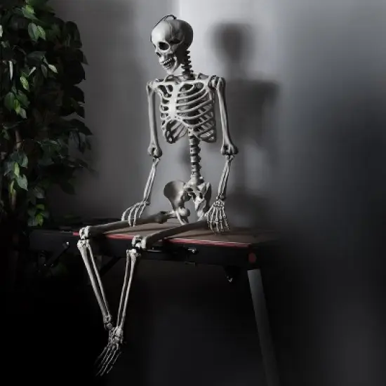 Costway Halloween Skeleton Life Size Realistic Full Body Hanging with Movable Joints image {4}