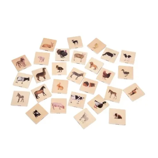 TickiT Domestic Animal Family Match, Set of 28 image {1}