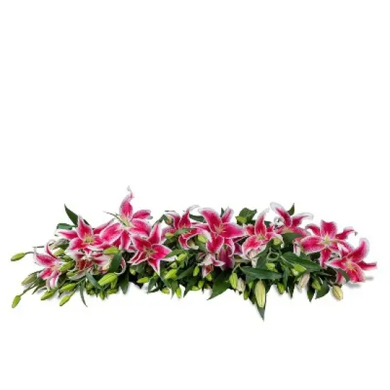 Fresh Cut Oriental Lily Flowers - 30 Stems image {6}