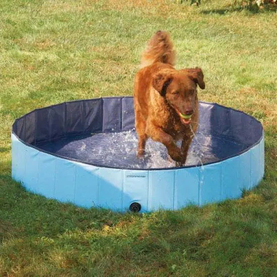 Cool Pup Splash About Portable Dog Pools image {1}