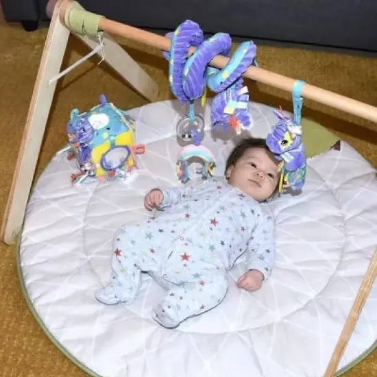 TriAction Toys Les Delingos Baby Activity Cube | Kiprokos the Zebra image {2}