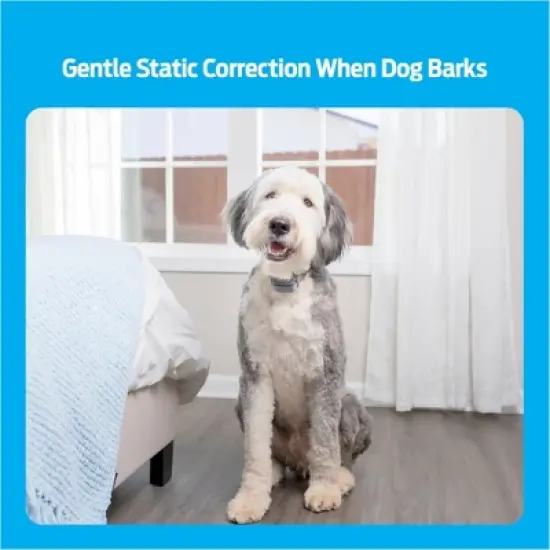 Premier Pet Rechargeable Bark Adjustable Collar - Black image {2}