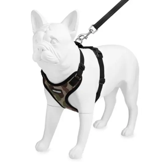 Voyager Step-In Lock Adjustable Dog & Cat Harness and 5ft Leash Combo image {3}