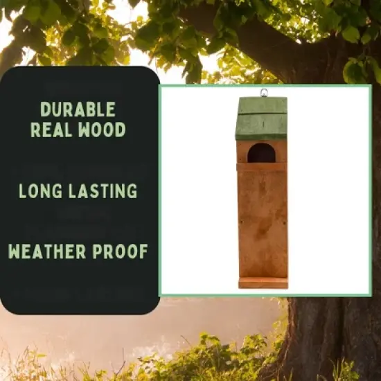 Uncle Dunkels Tree Frog House, Outdoor Tree Frog Habitat, Handmade in the USA image {4}