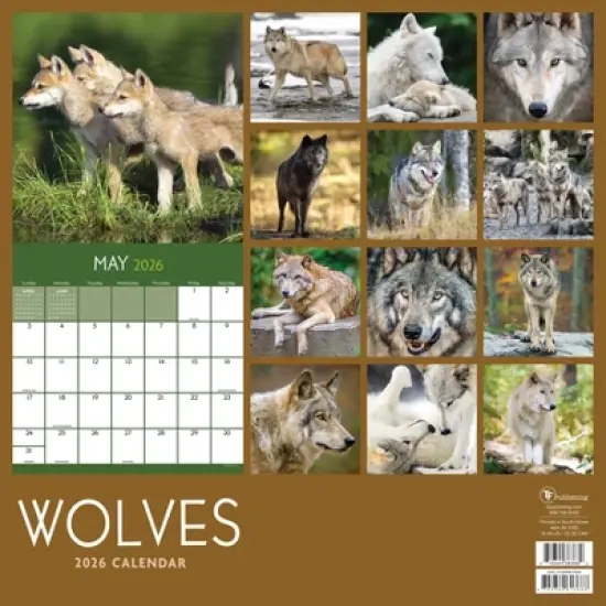 TF Publishing 13.5"x14.5" 2026 Wolves Wall Calendar image {4}
