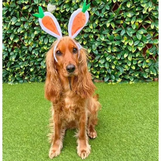 Midlee Carrot Bunny Ears Easter Dog Headband Costume image {4}