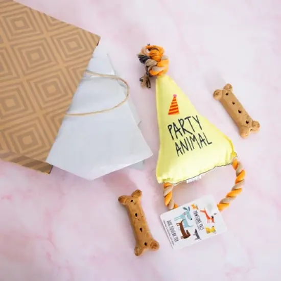 Pavilion Gift Company - Party Animal - Canvas Dog Toy on a Rope - Pet Toy image {2}