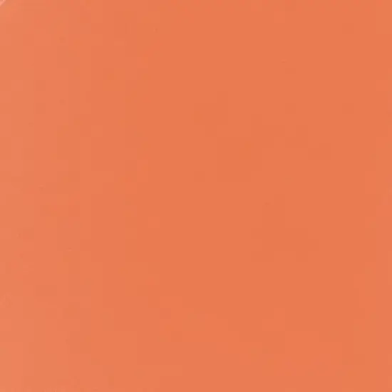 Carson Dellosa Education Rolled Scalloped Bulletin Board Border, Mango, 65 Feet, 3 Packs image {3}