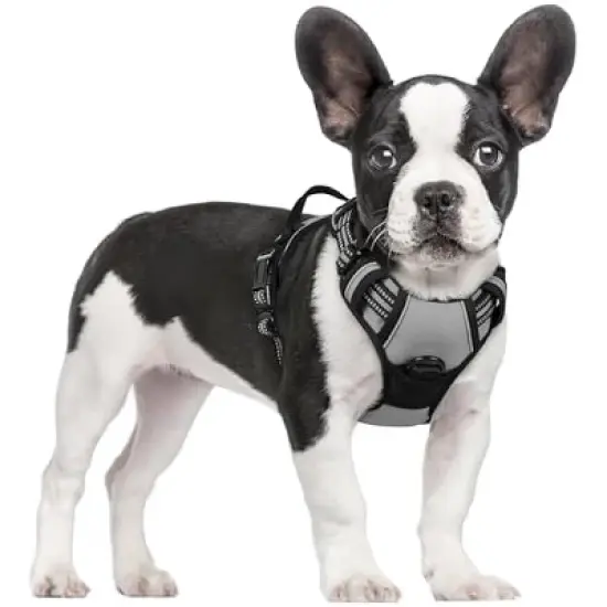rabbitgoo Dog Harness No Pull with 2 image {2}